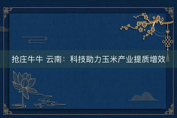 抢庄牛牛 云南：科技助力玉米产业提质增效